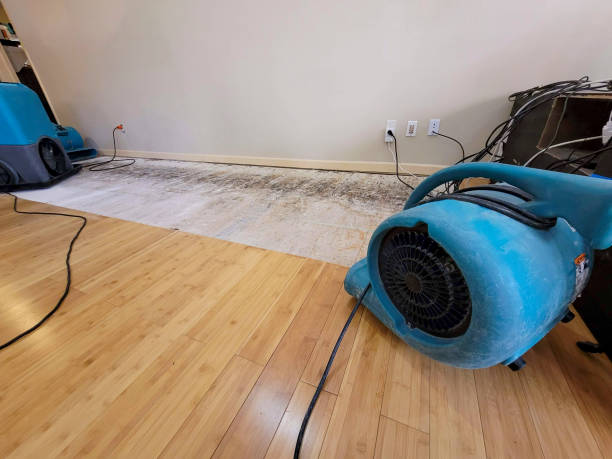 Professional Water Extraction technician working in Gibbsboro, NJ